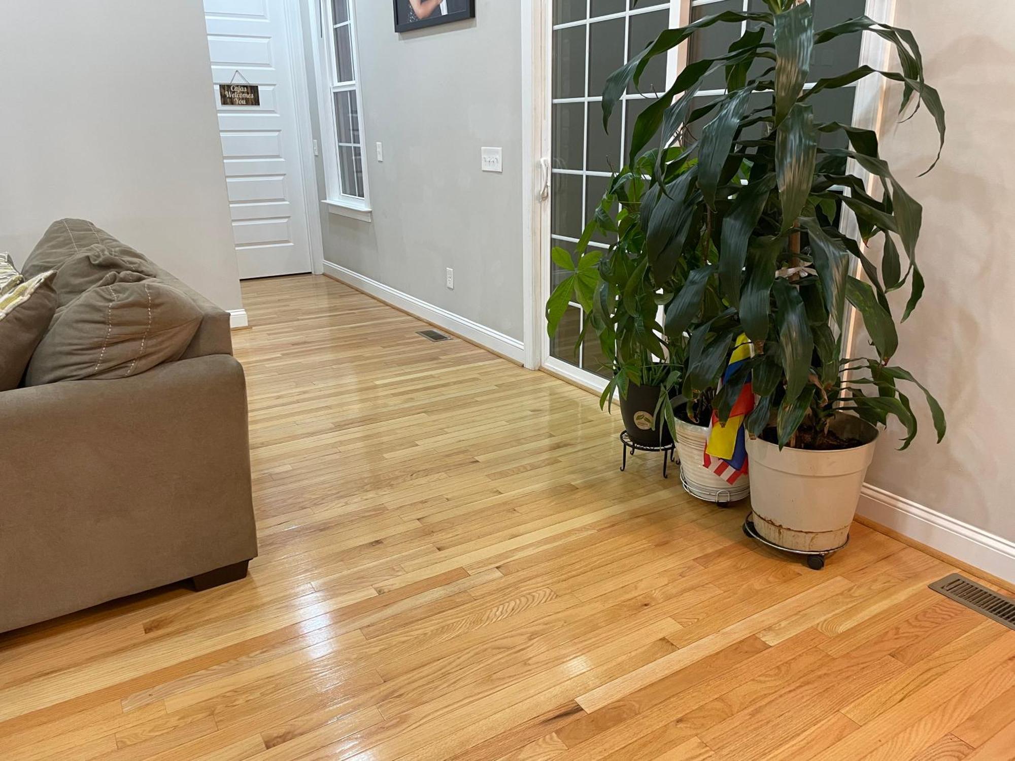 WhitsettLa Casa Grande Hostingアパートメント エクステリア 写真
